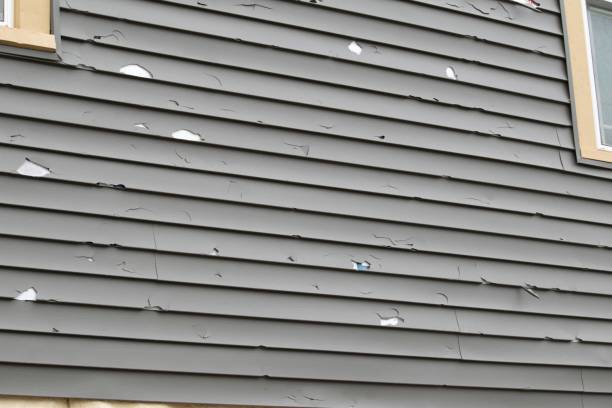 Affordable Siding Repair and Maintenance Services in Belle Glade, FL